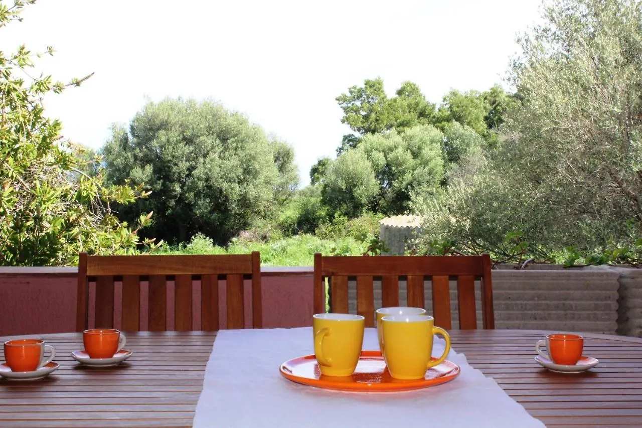 Апартаменты Residence Oasi E Oasi Blu Сан-Теодоро